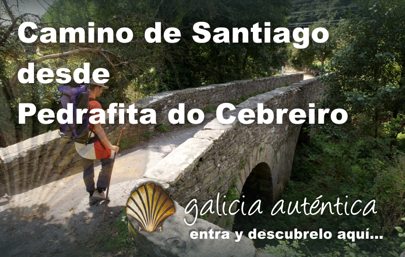Camino-de-Santiago-desde-Pedrafita-do-Cebreiro.png